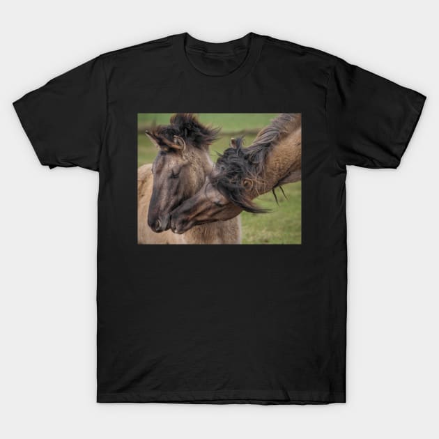 Just Between You and Me T-Shirt by hton